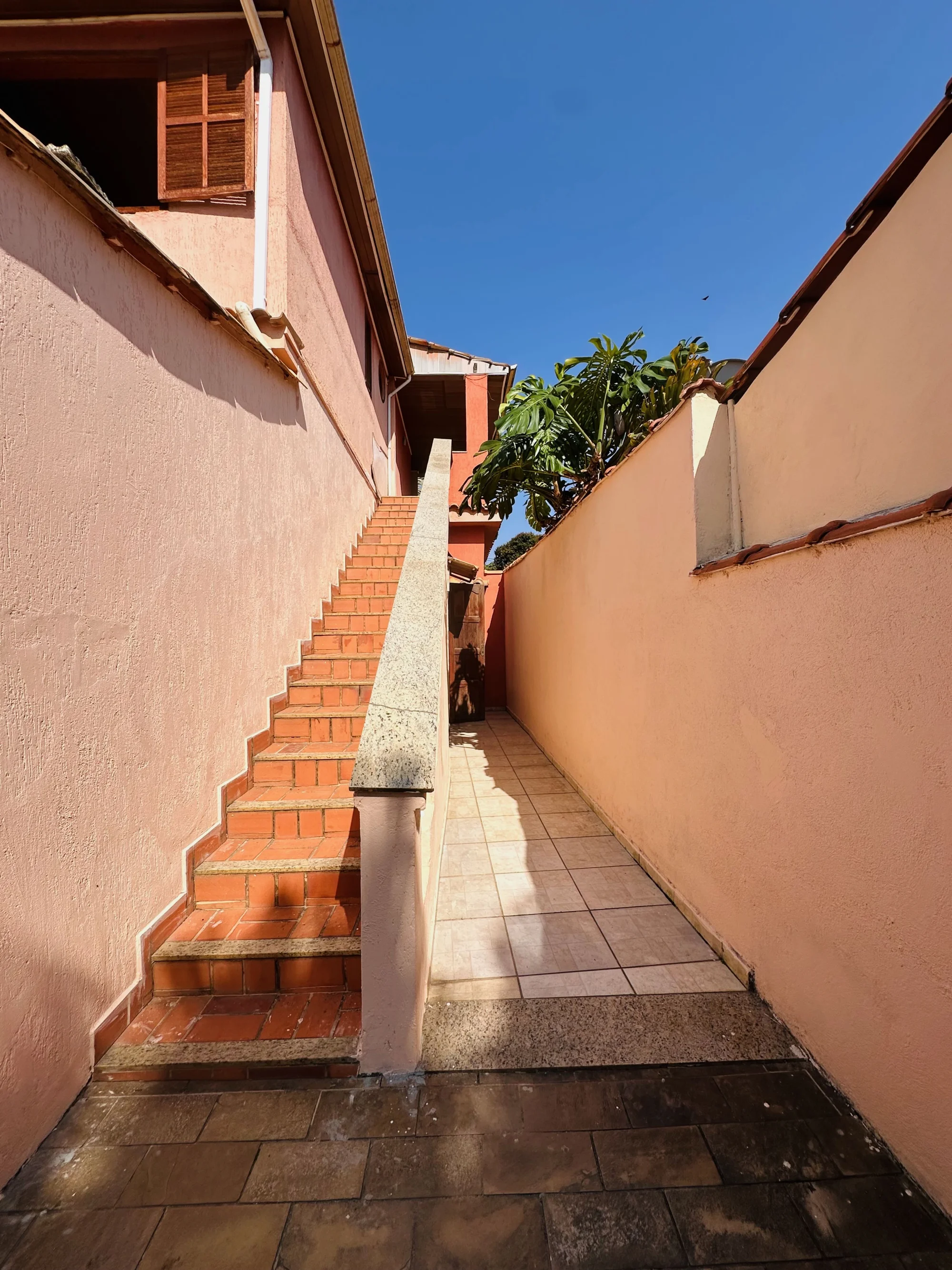 Detalhes do jardim