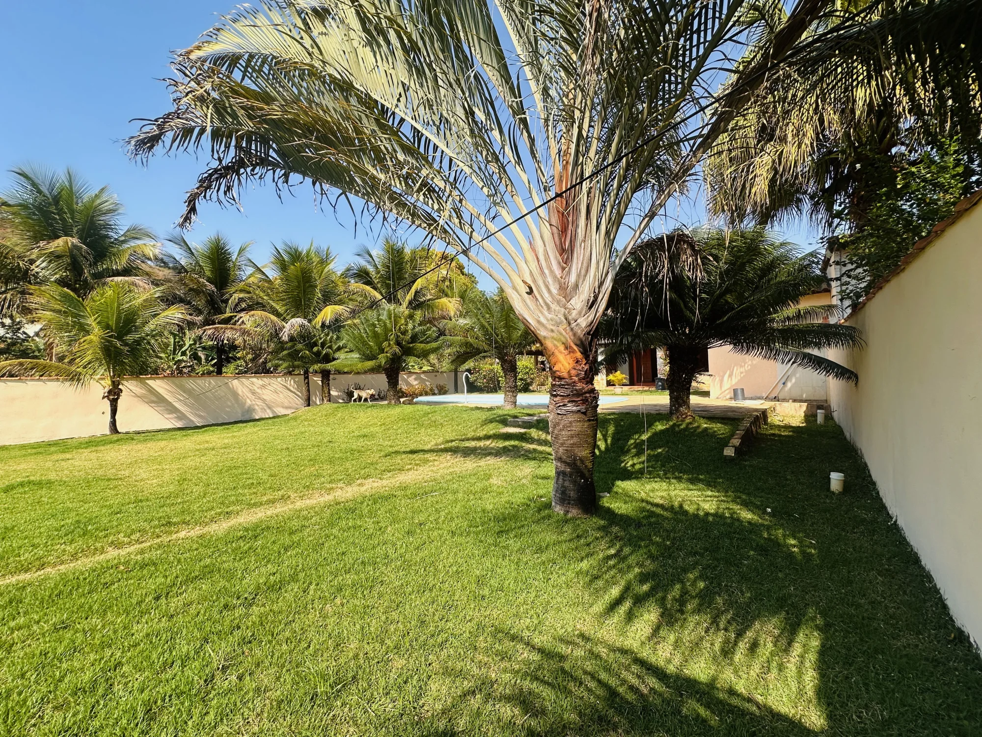 Jardim tropical