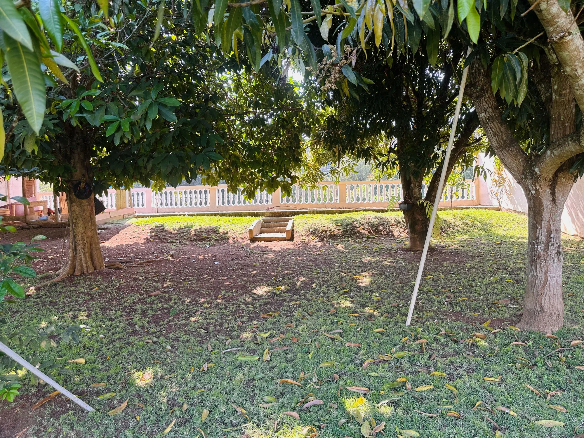 Vista da frente