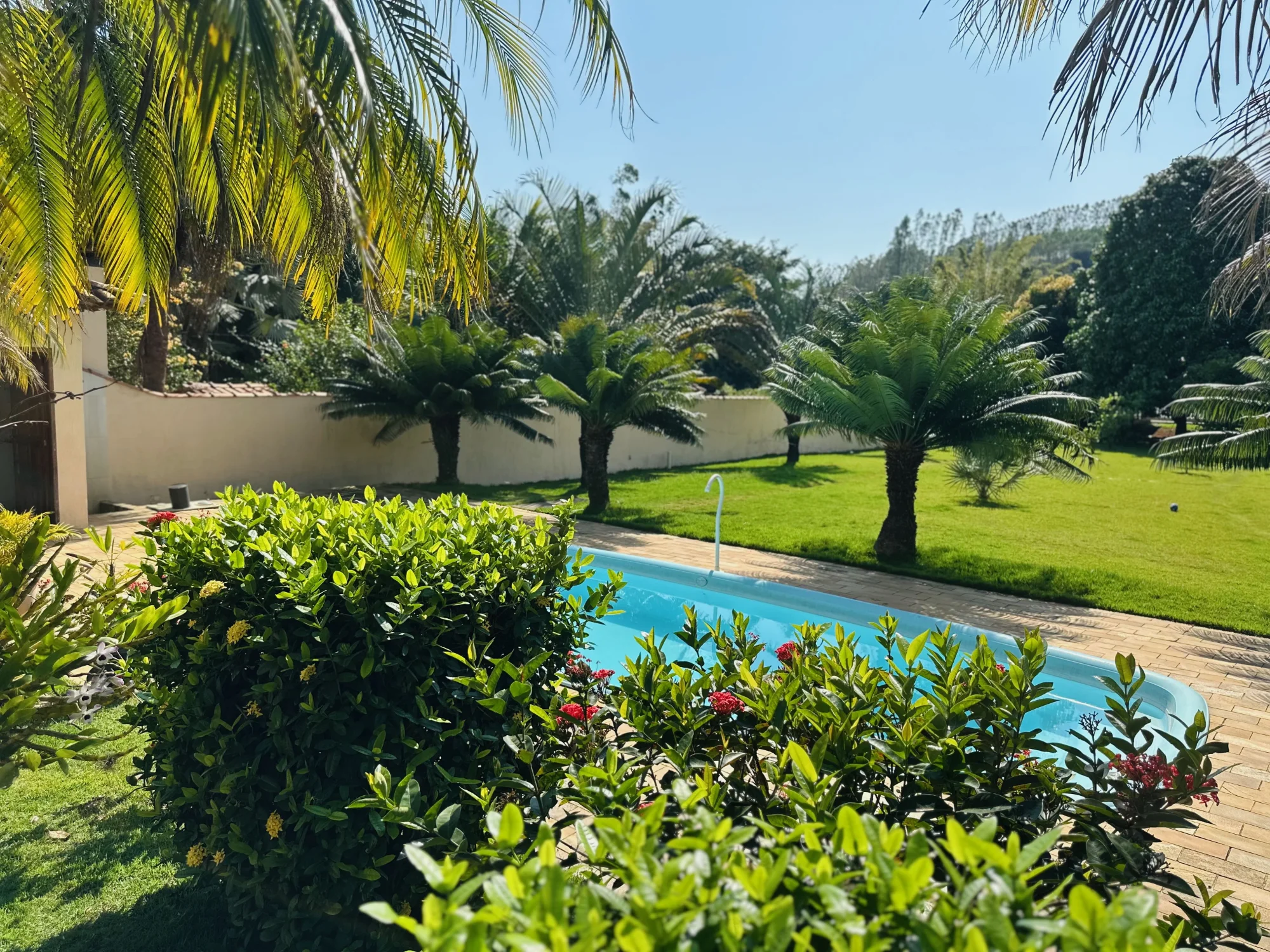 Piscina e jardim
